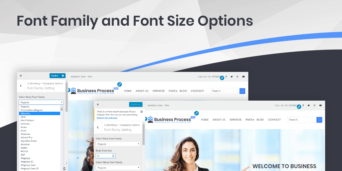 Font Family and Font Size Options